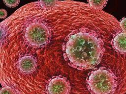 Der HIV-Impfstoff kommt mit neuen Erkenntnissen über weitgehend neutralisierende Antikörper näher