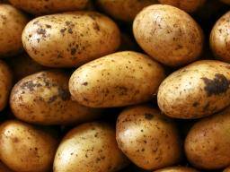 Jak mohou brambory prospech mému zdraví?