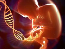 Kaip tevai itakoja nauju vaiku genetiniu mutaciju?
