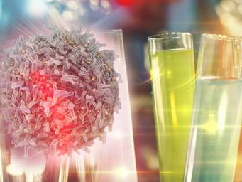 ¿Cómo el cáncer evade el sistema inmune? Nuevo mecanismo revelado