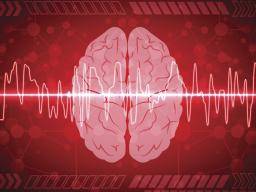 Jak se mozkový zvuk zmení ve smysl? Studium vrhá svetlo