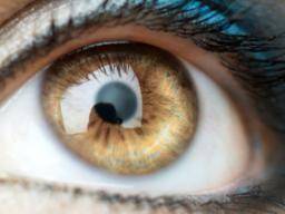 Lidské rohovky se znovu objevily, aby obnovily zrak