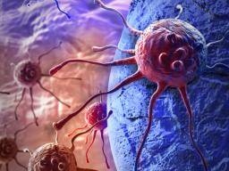 Imunoterapie lépe bojuje rakovinou obema rameny imunitního systému, ríkají výzkumníci