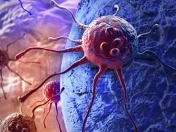 Die Immuntherapie läutet eine neue Ära der Krebsbehandlung ein