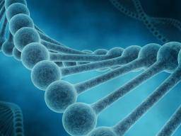 Zlepsená genová terapie ukazuje potenciál jako lécbu cystické fibrózy