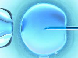 Mejorando el éxito de IVF - aumentando la expresión uterina de genes de desarrollo