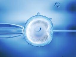 Unfruchtbarkeitsbehandlung "hat keine Auswirkungen auf die frühe Entwicklung der Nachkommen"