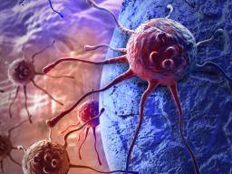 Pohled na to, jak bunky kopírují chromozomy dulezité pro boj s rakovinou