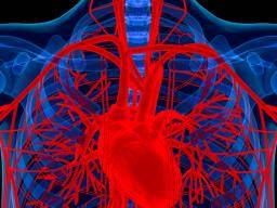 Eisenmangel kann das Risiko für Herzerkrankungen erhöhen