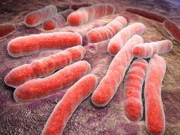 Je tuberkulóza autoimunní nemocí?