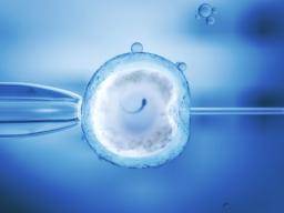 IVF Durchbruch: Ein neuer DNA-Test könnte die Erfolgsrate steigern