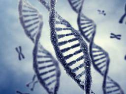 IVF-Embryonen: Der gesamte genetische Code kann nach Mutationen durchsucht werden