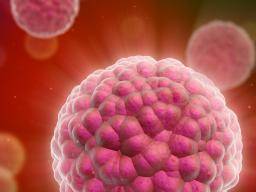 Laborverstärkte natürliche Killerzellen eliminieren Krebs in Lymphknoten