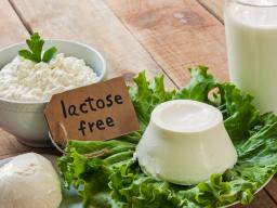 Intolérance au lactose liée à une diminution des taux de vitamine D