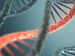 Velká studie zjistuje u detí 14 nových genetických poruch