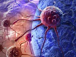 Leukämie-Medikament könnte verwendet werden, um den Stoffwechsel von Krebszellen zu sabotieren