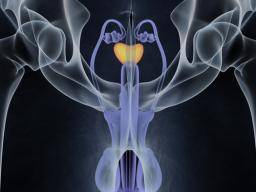 Svetelná terapie predstavuje obrovský krok kupredu pro lécbu rakoviny prostaty