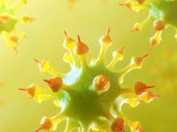 Wahrscheinlicher Auslöser für eine Autoimmunerkrankung, die in neu entdeckten Rogue-Zellen gefunden wird