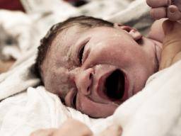 Deti s nízkou porodností spojené s nizsími akademickými výsledky "