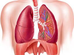 Los pacientes con enfermedad pulmonar ya no requieren biopsias para el diagnóstico