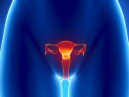 Lynchuv syndrom: riziko hormonálních faktoru "nizsí riziko rakoviny endometria"