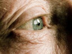 La dégénérescence maculaire peut être traitée par le médicament de Parkinson