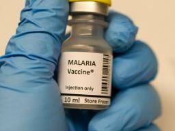 Malárie: vakcína nové generace ukazuje úcinnost, bezpecnost u lidí