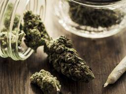 Marihuana: paaugliu vartojimo poveikis gali buti griztamas