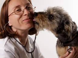 Lékarské detekcní psi: jak by mohli zachránit nase zivoty v snifi