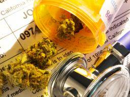 Medizinisches Marihuana - wo steht die Debatte jetzt?
