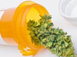 Medizinisches Marihuana im Zusammenhang mit reduzierten verschreibungspflichtigen Drogenkonsum