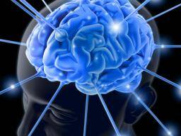 Gedächtnisstörungdiagnosen können davon profitieren, Gehirn als Netzwerke zu sehen