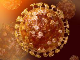 Mecanismo de entrada de células del virus MERS es posible objetivo de drogas