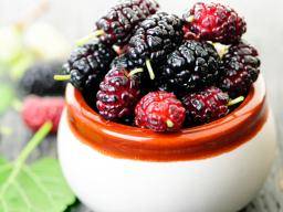 Mulberry Compound hilft Gewichtsverlust durch Aktivierung von braunem Fett