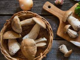 Les champignons peuvent vous aider à lutter contre le vieillissement