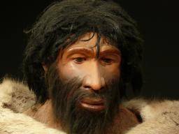 Neandertaler und moderne Menschen existierten seit Jahrtausenden nebeneinander