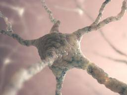 Poskození nervu u MS by mohlo být zabráneno epilepsií