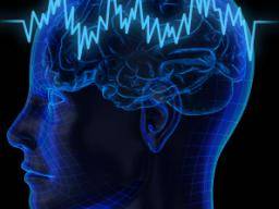 "Neural noise" kann den freien Willen beeinflussen, heißt es in der Studie