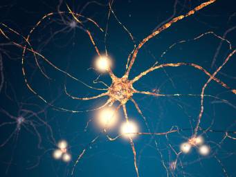 Neurodégénérescence: un nouveau mécanisme de mort cellulaire révélé