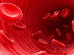 Nouveaux traitements contre l'anémie attendus de la découverte majeure de globules rouges