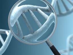 Neues Gen, das in der Parkinson-Forschung gefunden wird, könnte zu einer neuen Behandlung führen