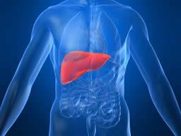 Nová lécivá látka proti hepatitide C vykazuje slibné výsledky ve studiích fáze II