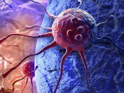 Nové názory na opravu DNA by mohly zlepsit léky, které blokují rust rakovinných bunek