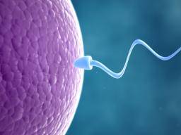 Neues IVF-Gerät ermöglicht "natürliche Düngung"