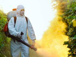 Neue Methode findet 57 Pestizide in vergifteten Honigbienen