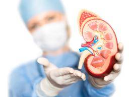 Neue Geheimnisse der Ablehnung der Nierentransplantation