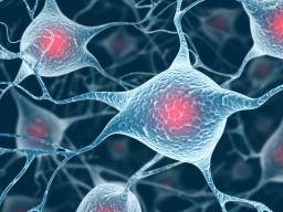 Nové malé molekuly cílovou mutaci v ALS a formu demence