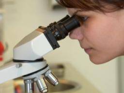 Neuer Test zur Diagnose von Krebs- und Unfruchtbarkeit verursachenden Parasiten