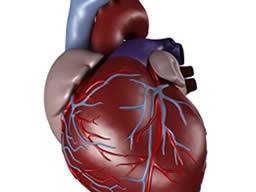 Niacin nezhorsuje riziko srdecního záchvatu, pokud je spatný cholesterol dobre kontrolován