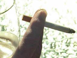 Nikotin pomáhá potlacovat ospalost zpusobenou alkoholem, zjistuje studie